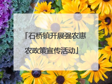 石桥镇开展强农惠农政策宣传活动
