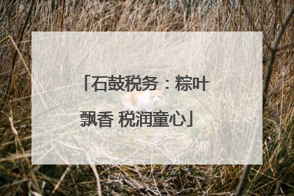 石鼓税务：粽叶飘香 税润童心