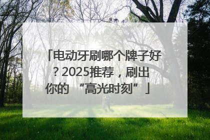 电动牙刷哪个牌子好？2025推荐，刷出你的 “高光时刻”