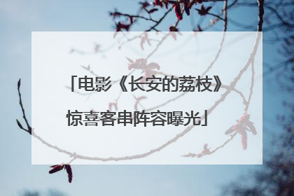 电影《长安的荔枝》惊喜客串阵容曝光