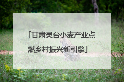 甘肃灵台小麦产业点燃乡村振兴新引擎
