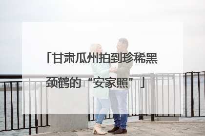 甘肃瓜州拍到珍稀黑颈鹤的“安家照”
