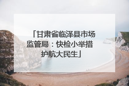 甘肃省临泽县市场监管局：快检小举措 护航大民生