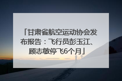 甘肃省航空运动协会发布报告：飞行员彭玉江、顾志敏停飞6个月