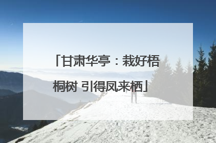 甘肃华亭：栽好梧桐树 引得凤来栖