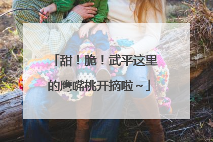 甜！脆！武平这里的鹰嘴桃开摘啦～