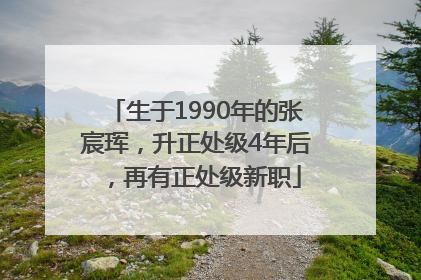 生于1990年的张宸珲，升正处级4年后，再有正处级新职