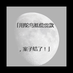 用鸵鸟抵偿货款，案子结了！