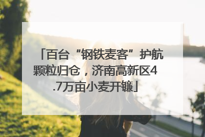 百台“钢铁麦客”护航颗粒归仓，济南高新区4.7万亩小麦开镰