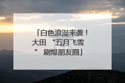白色浪漫来袭！大田 “五月飞雪” 刷爆朋友圈