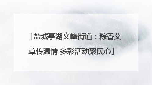 盐城亭湖文峰街道：粽香艾草传温情 多彩活动聚民心