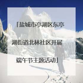盐城市亭湖区东亭湖街道北林社区开展端午节主题活动