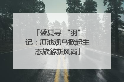 盛夏寻 “羽” 记：滇池观鸟掀起生态旅游新风尚
