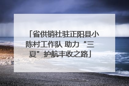 省供销社驻正阳县小陈村工作队 助力“三夏”护航丰收之路