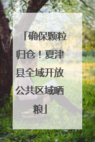 确保颗粒归仓！夏津县全域开放公共区域晒粮