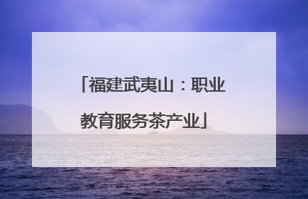 福建武夷山：职业教育服务茶产业