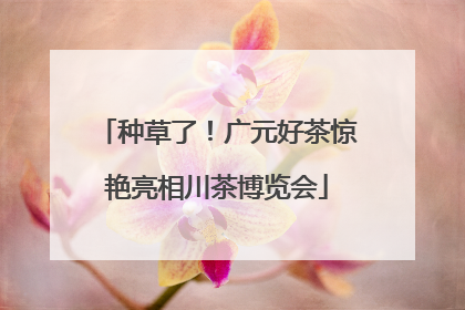 种草了！广元好茶惊艳亮相川茶博览会