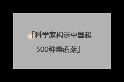 科学家揭示中国超500种毒蘑菇