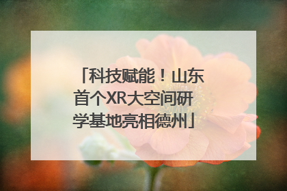 科技赋能！山东首个XR大空间研学基地亮相德州