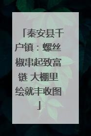 秦安县千户镇：螺丝椒串起致富链 大棚里绘就丰收图
