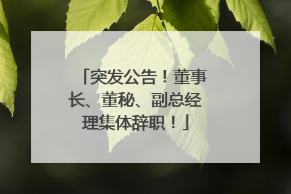 突发公告!董事长、董秘、副总经理集体辞职!