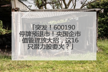 突发！600190停牌预退市！央国企市值管理放大招，这16只潜力股要火？