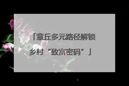 章丘多元路径解锁乡村“致富密码”
