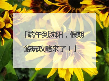 端午到沈阳，假期游玩攻略来了！