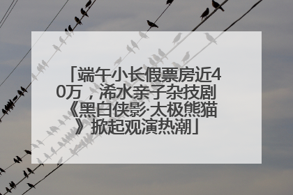 端午小长假票房近40万，浠水亲子杂技剧《黑白侠影·太极熊猫》掀起观演热潮