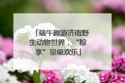端午趣游济南野生动物世界，“粽享”量级欢乐