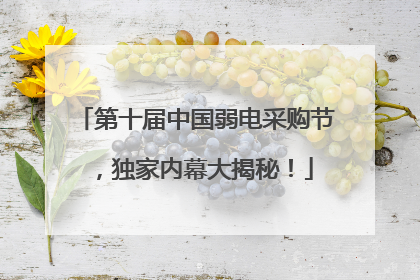 第十届中国弱电采购节，独家内幕大揭秘！