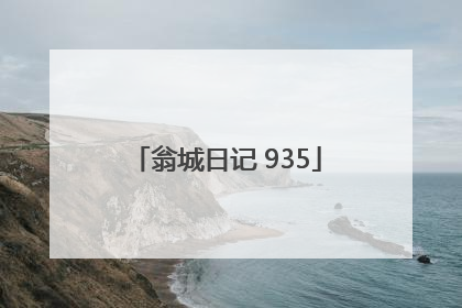 翁城日记 935