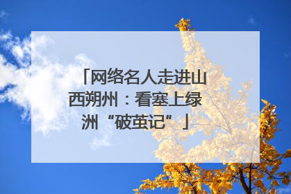 网络名人走进山西朔州：看塞上绿洲“破茧记”