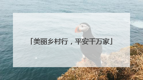 美丽乡村行，平安千万家