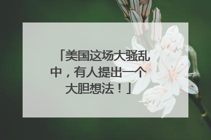 美国这场大骚乱中，有人提出一个大胆想法！