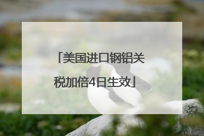 美国进口钢铝关税加倍4日生效