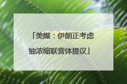 美媒：伊朗正考虑铀浓缩联营体提议