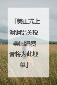 美正式上调钢铝关税 美国消费者将为此埋单