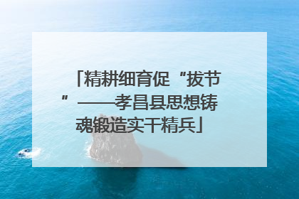 精耕细育促“拔节”——孝昌县思想铸魂锻造实干精兵
