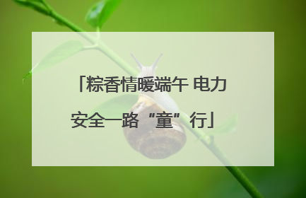 粽香情暖端午 电力安全一路“童”行