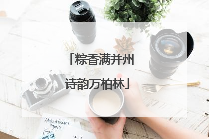 粽香满并州 诗韵万柏林