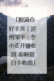粮满仓·好丰光｜滨州邹平：冬小麦开镰收割 奏响夏日丰收曲