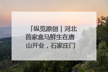 纵览原创｜河北首家盒马鲜生在唐山开业，石家庄门店预计8月开业