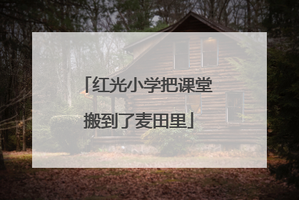 红光小学把课堂搬到了麦田里
