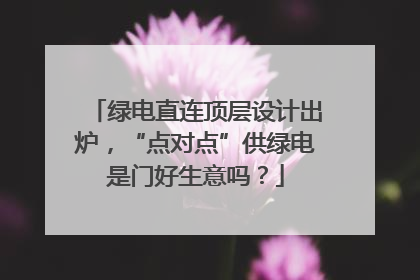 绿电直连顶层设计出炉，“点对点”供绿电是门好生意吗？