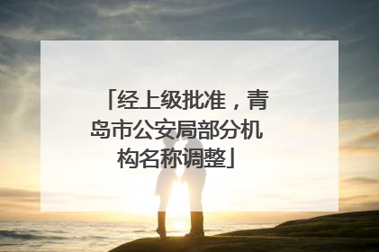 经上级批准，青岛市公安局部分机构名称调整