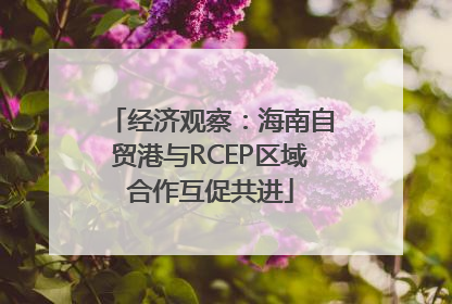 经济观察：海南自贸港与RCEP区域合作互促共进
