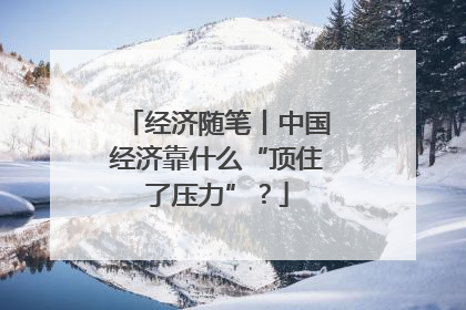 经济随笔丨中国经济靠什么“顶住了压力”？