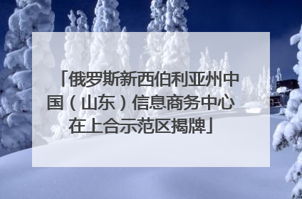 俄罗斯新西伯利亚州中国（山东）信息商务中心在上合示范区揭牌