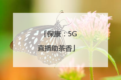 保康：5G直播助茶香